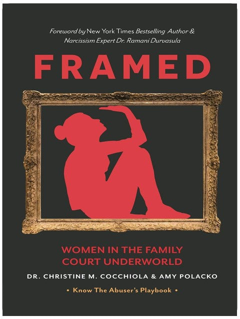 Reingelegt: Frauen in der Unterwelt des Familiengerichts