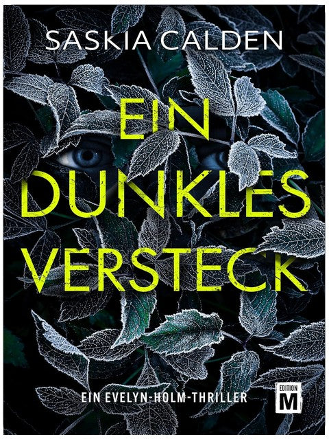 Ein dunkles Versteck (Ein Evelyn-Holm-Thriller 4)
