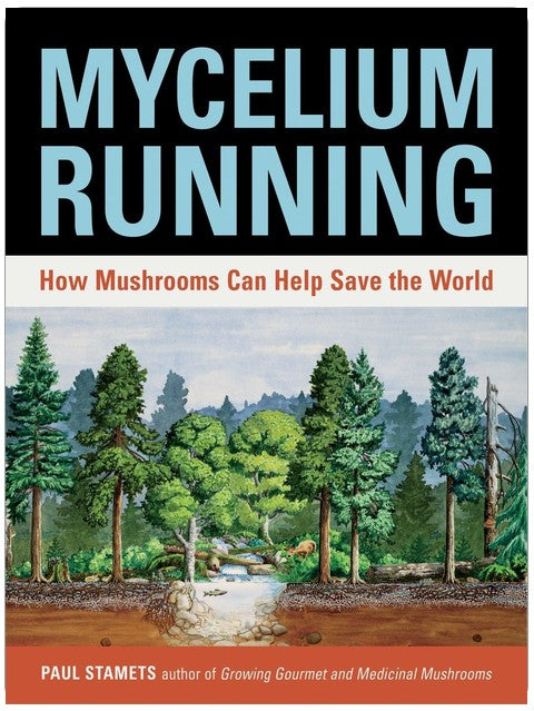 La course du mycélium : comment les champignons peuvent aider à sauver le monde