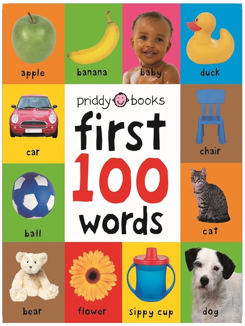 Mes 100 premiers mots : un imagier en carton