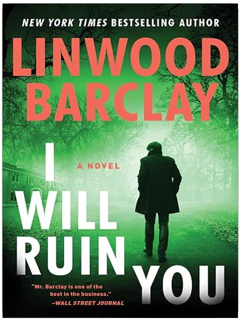 I Will Ruin You: A Novel