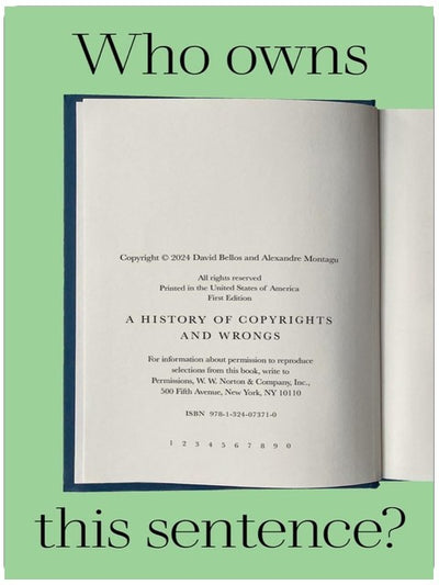 Who Owns This Sentence?: A History of Copyrights and Wrongs