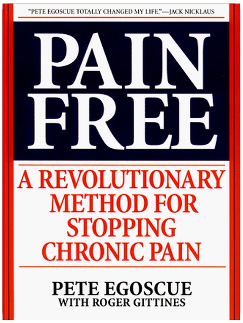 Pain Free: A Revolutionary Method For Stopping Chronic Pain