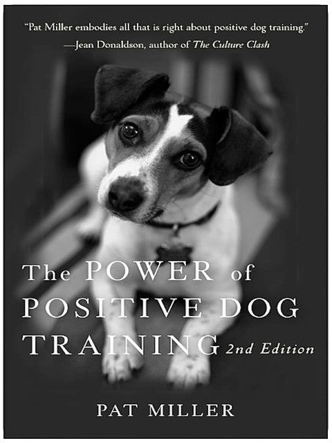 Die Macht des positiven Hundetrainings
