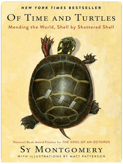 Of Time and Turtles: Die Welt heilen, eine zerbrochene Schale nach der anderen – Ein herzerwärmendes, mitfühlendes Porträt verletzter Schildkröten, perfekt für Naturliebhaber.