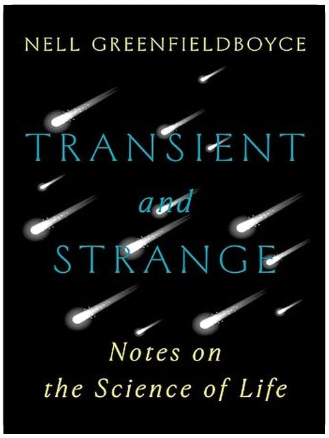 Transient and Strange: Notes on the Science of Life