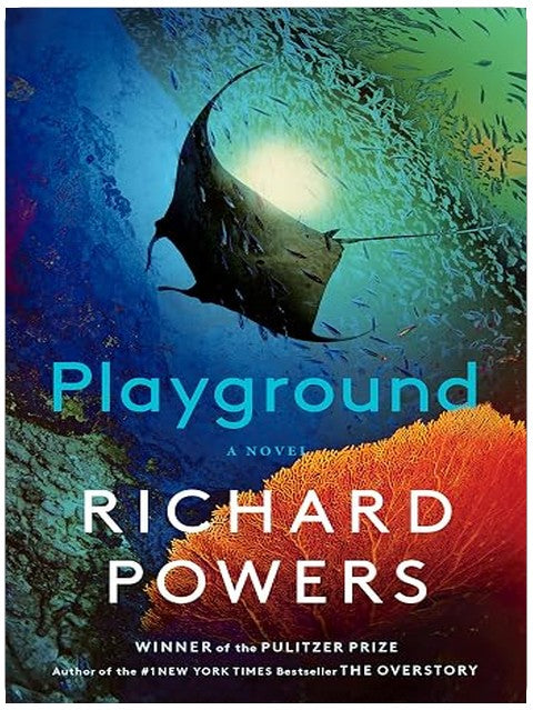 Playground: A Novel