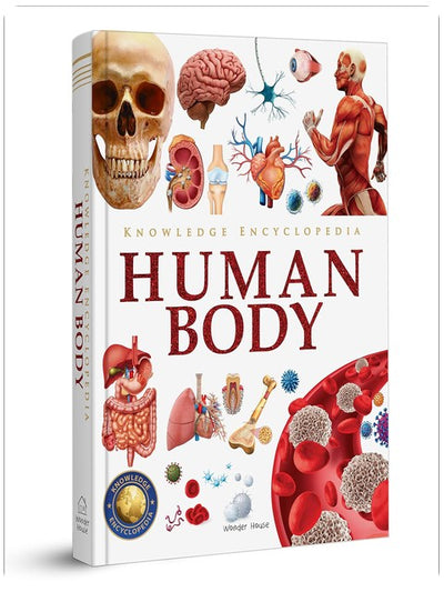 Knowledge Encyclopedia Human Body (Knowledge Encyclopedia For Children)