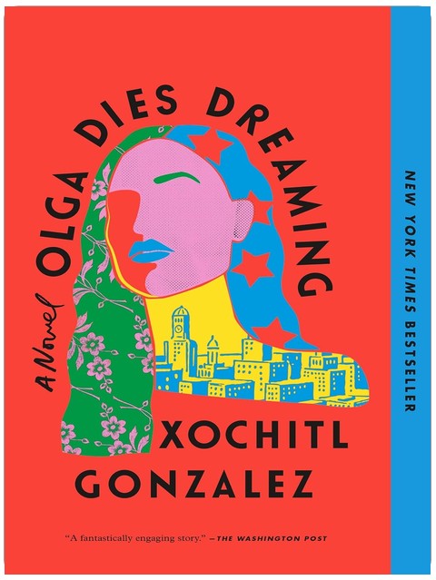 Olga Dies Dreaming: Ein Roman