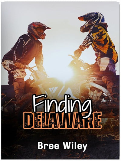 Delaware finden (State of Us, Band 1)