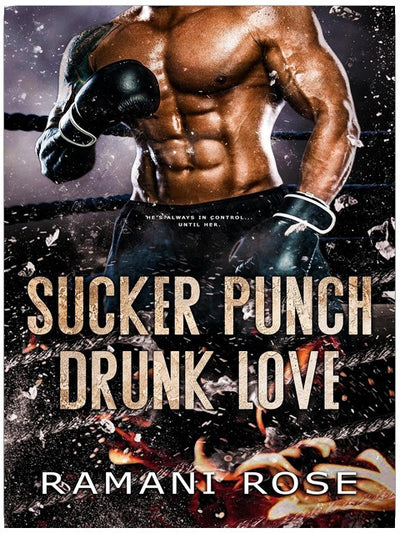 Sucker Punch Drunk Love