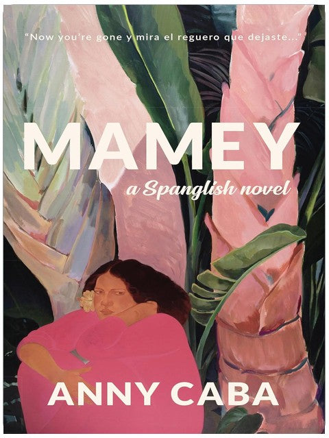 Mamey: ein Spanglish-Roman