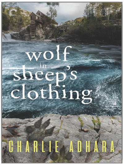 Wolf in Sheep's Clothing: A Gay Cozy Werewolf Mystery Romance (Big Bad Wolf Book 4)