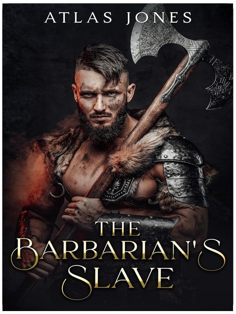 Der Sklave des Barbaren (Barbaren der Nordlande, Buch 1)