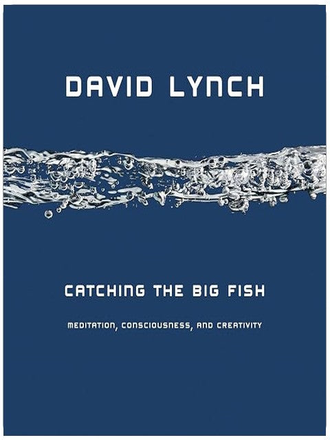 Catching the Big Fish: Meditation, Consciousness, and Creativity