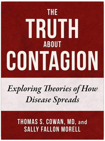 Truth About Contagion: Exploring Theories of How Disease Spreads
