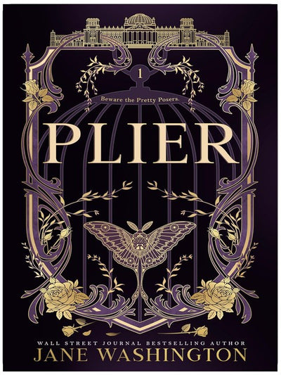 Plier (Ironside Academy Buch 1)