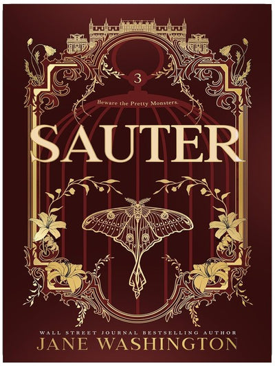 Sauter (Ironside-Akademie, Buch 3)