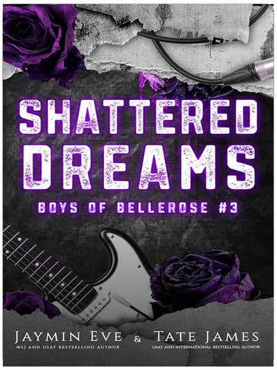 Zerschlagene Träume (Boys of Bellerose, Band 3)