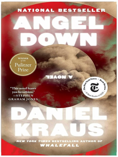 Angel Down (Pulitzer Prize Winner): A Novel