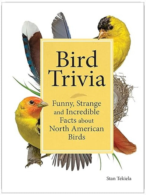 Title Book Cover