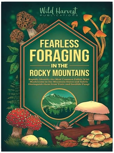 Title Book Cover