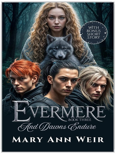 And Dawns Endure: Evermere – Buch drei