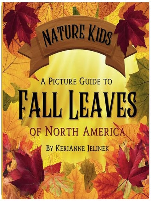 Title Book Cover
