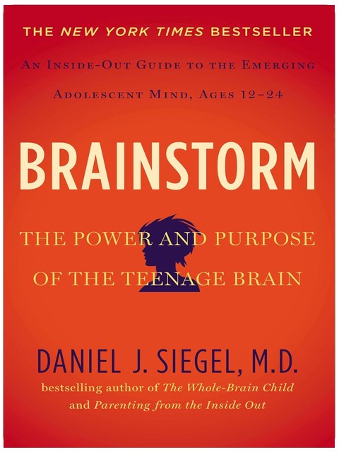 Brainstorm: Die Macht und Bestimmung des jugendlichen Gehirns