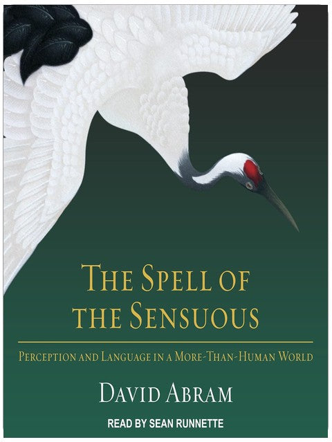 Le sortilège du sensible : Perception et langage dans un monde plus-qu'humain