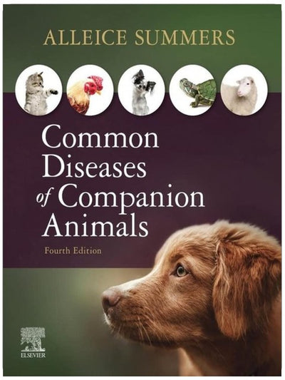 Common Diseases of Companion Animals