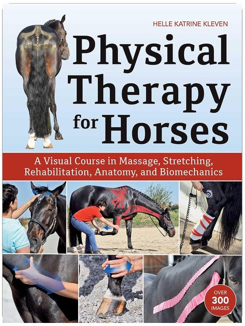 Physical Therapy for Horses