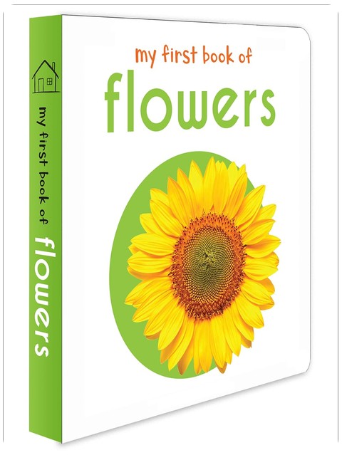 Mein erstes Buch der Blumen: Erstes Pappbilderbuch