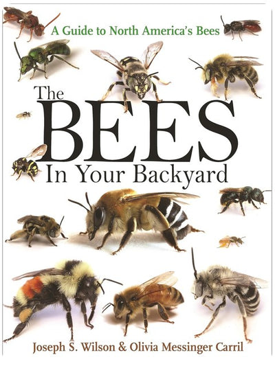 Les abeilles de votre jardin : Un guide des abeilles d'Amérique du Nord