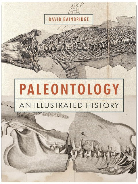 Paläontologie: Eine bebilderte Geschichte