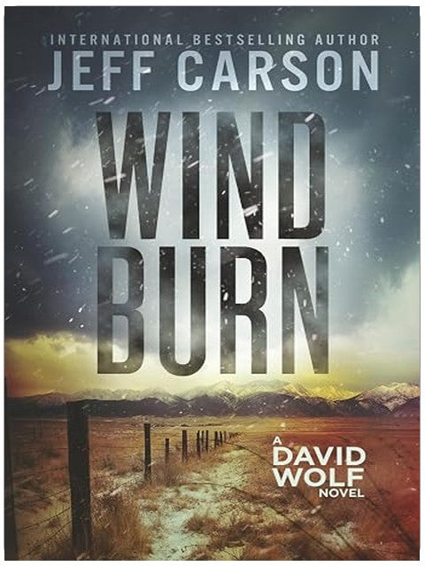 Wind Burn (David Wolf Mystery Thriller Series)