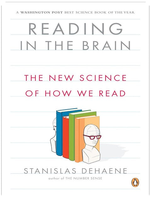 Lesen im Gehirn: Die neue Wissenschaft des Lesens