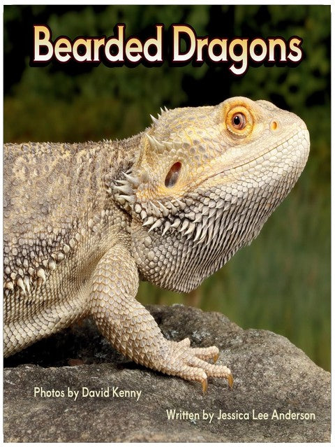 Dragons barbus (Jeunes explorateurs du monde animal)