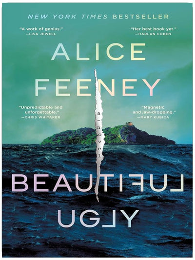Beautiful Ugly: A Novel