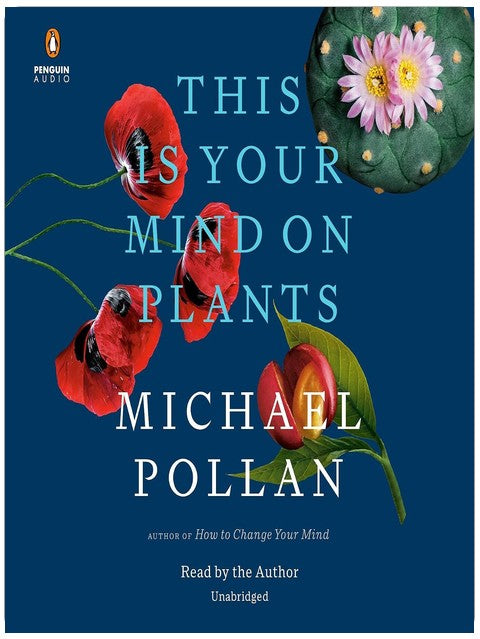 Votre cerveau sous les plantes