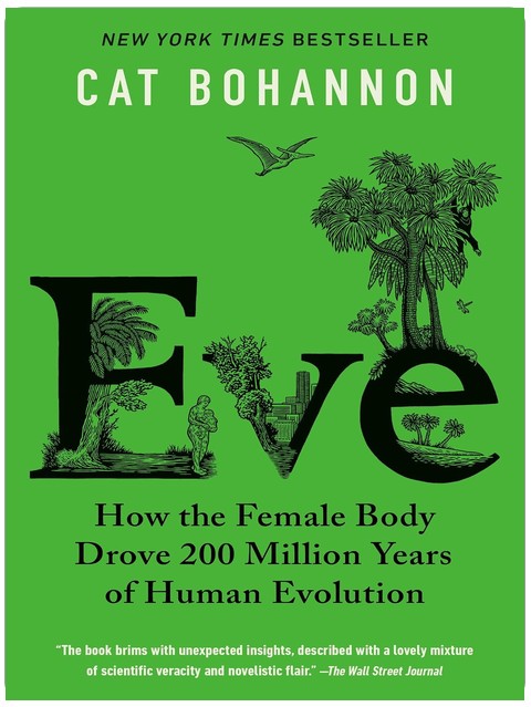 Eve : Comment le corps féminin a façonné 200 millions d'années d'évolution humaine