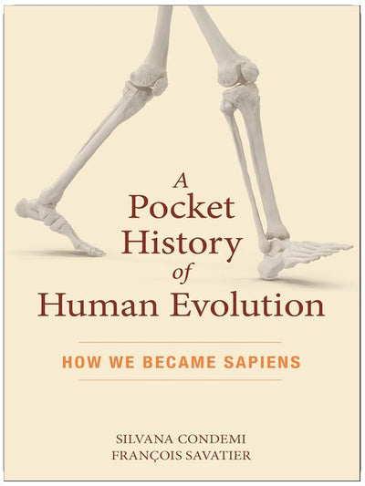 A Pocket History of Human Evolution: How We Became Sapiens