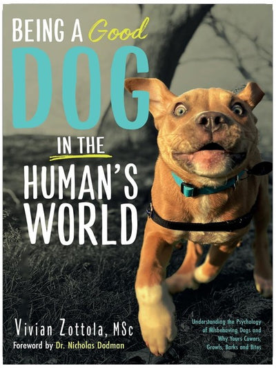 Ein (guter) Hund in der Menschenwelt sein: Die Psychologie von Hunden verstehen, die sich schlecht benehmen, und warum Ihrer winselt, knurrt und beißt
