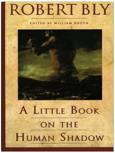 A Little Book on the Human Shadow: A Poetic Journey into the Dark Side of the Human Personality, Shadow Work, and the Importance of Confronting Our Hidden Self