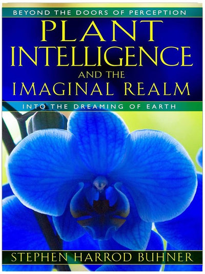 Plant Intelligence and the Imaginal Realm: Beyond the Doors of Perception into the Dreaming of Earth