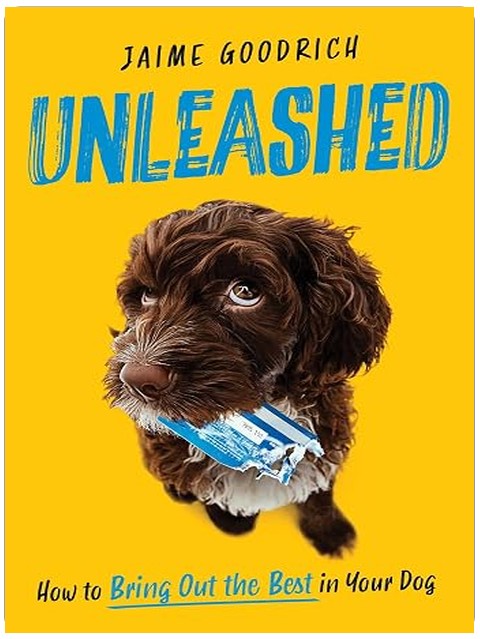 Unleashed: How to Bring Out the Best in Your Dog
