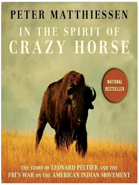 Dans l'esprit de Crazy Horse