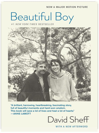Beautiful Boy (tie-In): A Heartbreaking Story of a Father’s Love, Addiction, and the Fight to Save His Son