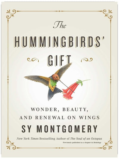 The Hummingbirds' Gift: Wonder, Beauty, and Renewal on Wings