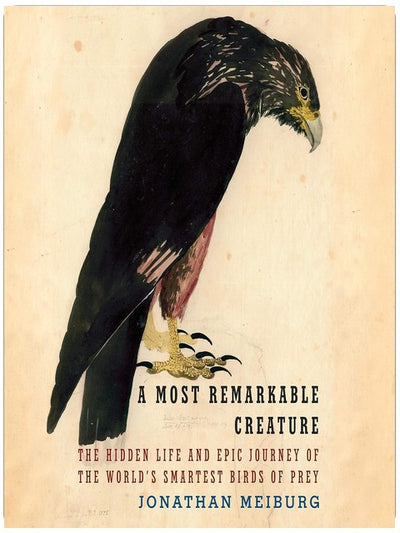 A Most Remarkable Creature: The Hidden Life and Epic Journey of the World's Smartest Birds of Prey